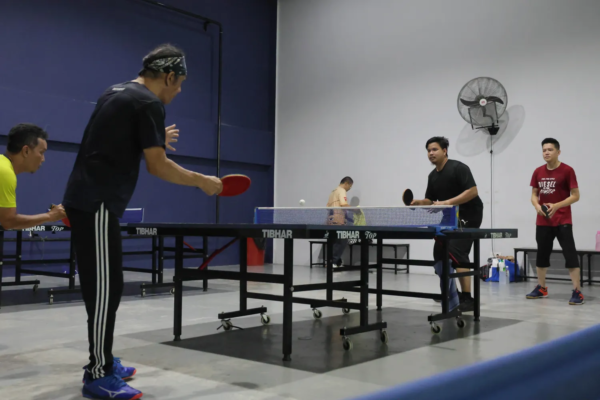 pingpong 1