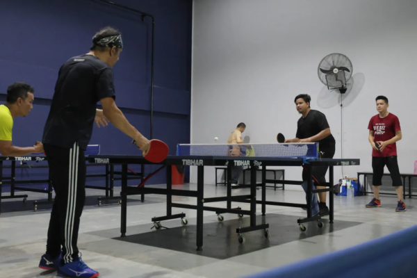 pingpong 2