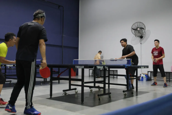 pingpong 3