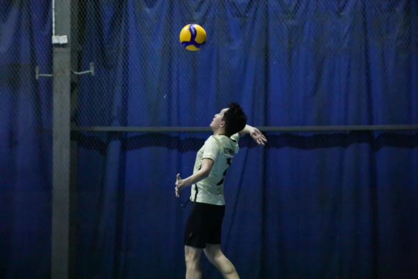 volleyball 11