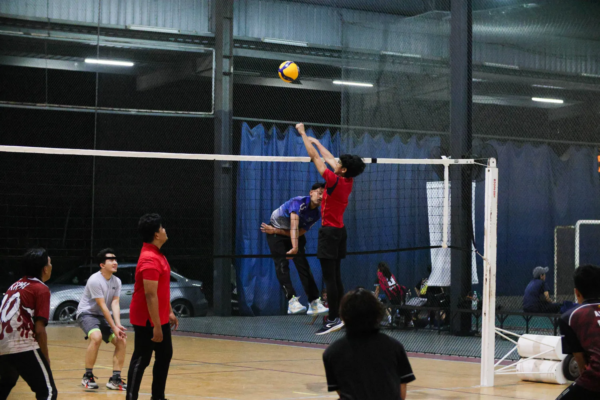volleyball 3